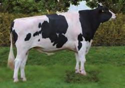 XACOBEO MARIO XACOBEO ET DE579539135 - ESPM92231142-111437 Nac.: 9/8/23 aaa 426153 ICO 2.