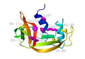 Denaturacija Nativni protein Parcijalno denaturisan Nekontrolisano hlañenje Denaturisan Hlañenje pod kontrolisanim uslovima Neaktivan Nativni protein