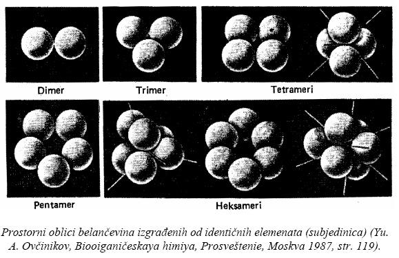 Kvaternerne strukture značajnih belančevina Za proučavanje i definisanje kvaternerne strukture koriste se sledeće metode: Rentgenostrukturna analiza koja pruža mogućnost čak i pri manjoj moći