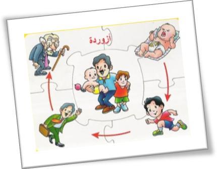 ) يتحرؾ عن طريق انزالؽ عظم فوؽ عظم آخر يف أثناء تركو لألما وا ٠ تلف. ( د ) تثل الصورة التالية: مرحلة الطفولة. ( أ ) مرحلة النضج.