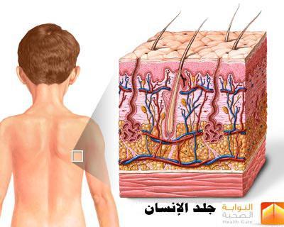 ىدؼ التعلم ا ١ تواد التعليمية ضمن الدرس : ثالثا : ممارسة الجماعية الموجهة لمحتوى علمي ومهام متنوعة.