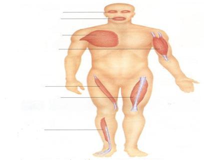 ب) ضمن الدرس : خامسا : زيادة مسؤوليات التلميذة.