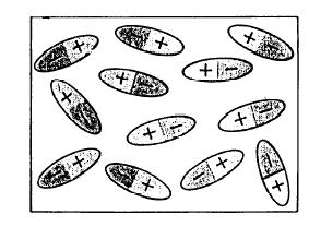 W =p labilni zasuk (labilna orintacija) (maksimum nrgij) π π π π minimum nrgij: p = : W = p maksimum nrgij: p = π : W = p stabilni zasuk (stabilna orintacija) (minimum nrgij) (4) (5) Snov