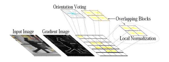 3.3. Blocuri de descriptori Pentru a tine cont de ariatiile de iluminare si contrast, magnitudinea gradientilor trebuie normalizata local, ceea ce inseamna gruparea celulelor in structuri spatiale