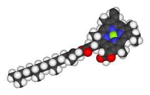 5 ) n