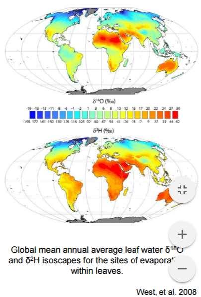 Primer GIS modeliranja na globalni ravni: ISOSCAPES Poprečna letna vrednost δ 18 O in δ 2