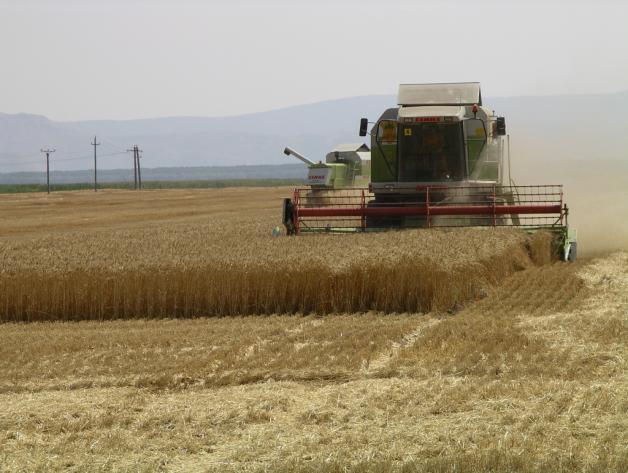 Agricultura extensivă cu inputuri reduse este un tip de agricultură de subzistență, cu o producție slab competitivă, care poate afecta mediul înconjurător într-o anumită măsură, mai ales prin