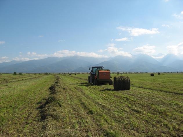 Caracteristici principale sunt date în principal de neutilizarea îngrășămintelor minerale și a altor substanțe agrochimice (erbicide, insecto-fungicide, amendamente minerale), sau de aplicarea lor în
