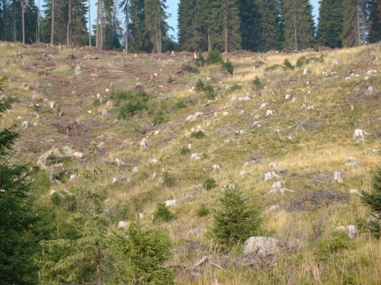 Măsuri recomandate: Utilizarea lucrărilor de conservare și de mulcire a solului, pentru a reduce emisiile de CO 2 din sol. Utilizarea de culturi prășitoare, culturi de acoperire și culturi secundare.