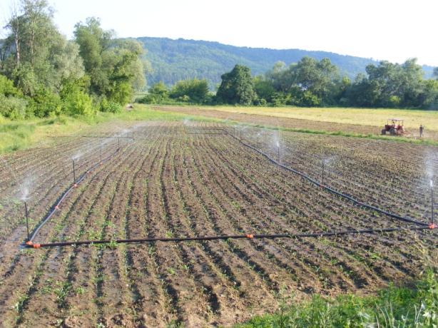 Cele mai bune practici de management al irigațiilor Fermierii din zonele umede care sunt predispuse la schimbări climatice care conduc la deșertificare trebuie să preia modul de a face agricultură a