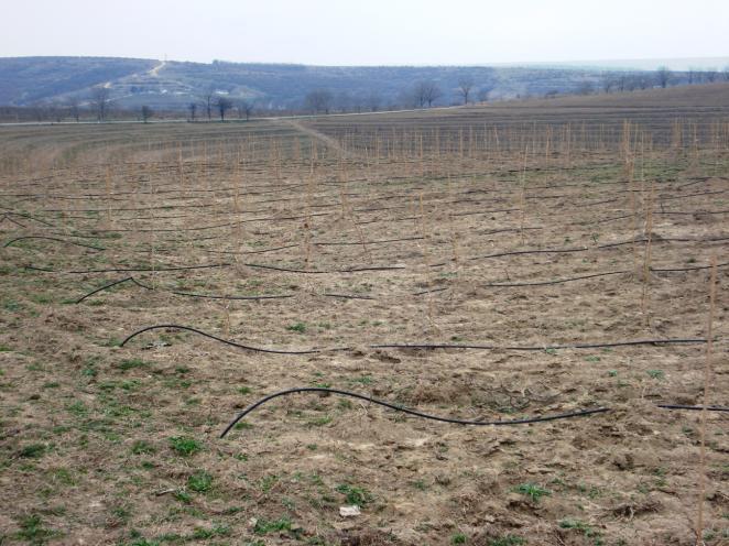 furnizați în general de institutele agronomice și de centrele experimentale. Ultimul pas nu este neapărat necesar, deoarece scopul irigației este acela de a menține culturile în condiții optime.