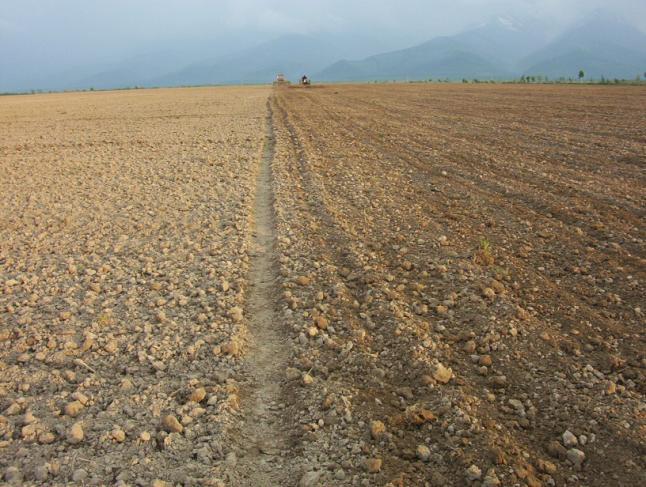 Executarea lucrărilor agricole Lucrările agricole de conservare (lucrări agricole no-till sau minime) au cunoscut o evoluție mai accentuată deoarece au fost utilizate și ca o măsură de prevenire a