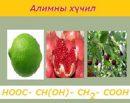 Гол төлөөлөгчид: Сүүний Энэ хүчлийн рацемат хольц нь сахарлаг бодисын сүүн хүчлийн исэлдэлтээр үүснэ. 6 H 12 исэх 6 2 глюкоз сүүний Сүүний хүчлийн гол шинж чанар: 1.