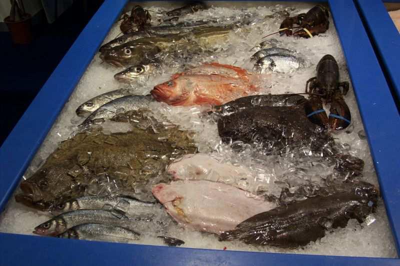 pecaturi - slatkovodne: ribe otvorenih voda ribe iz ribnjaka - ribe bočastih
