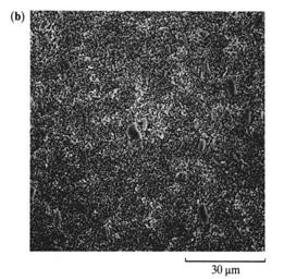 9 10 Primjer: Morfologija mikro i nano PMMA / Al(OH) 3 kompozita: Primjer: Morfologija mikro i nano PVAc /CaCO 3 kompozita: PVAc/CaCO 3 - M
