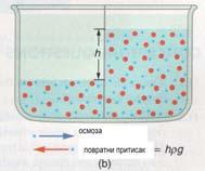 Тај притисак ρgh се назива осмотским притиском ако је један од раствора чиста вода или релативним осмотским притиском ако ни један раствор није вода.