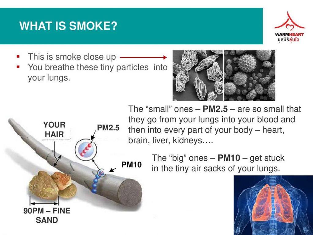 1. Problem Description Тулгарч байгаа асуудал Particulates Human hair 50-70 µm (microns) in diameter Size of particles in the flue gas range from 1 µm to 10 µm. Coarse dust particles (PM10) are 2.