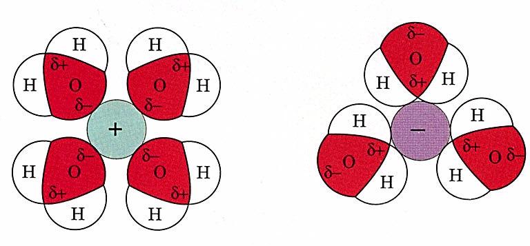 Voda kao otapalo polarno otapalo za veliki broj ionskih spojeva hidratizirani ioni mnoge tvari su dobro topljive u vodi zbog mogućnosti stvaranja vodikovih