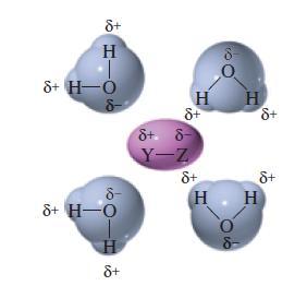 solvent în jurul moleculei de compus polar îndepărtează această moleculă de altele similare, ceea ce produce dizolvarea. Interacțiunea dintre solvent și molecula dizolvată se numește solvatare: Fig.