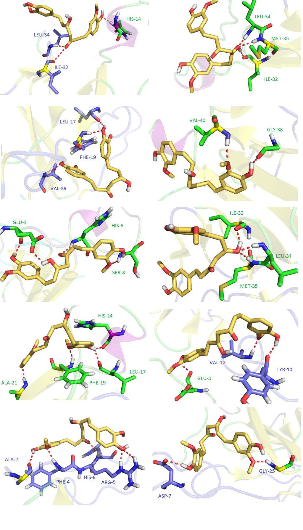 Figure S3: The initial M11-20 models.