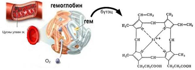 b. Дикарбонилт нэгдлийг P 2 тай халааж тиофены уламжлалыг гаргана. C -C - C 2 - C 2 -C -C P 2 t 0 C C C 2,-диметилтиофен c.