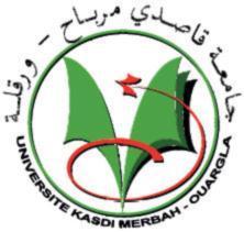 جامعة قاصدي مرباح ورقمة كمية العموم اإلقتصادية والتجارية وعموم التسيير قسم العموم اإلقتصادية مذكرة مقدمة إلستكمال متطلبات شهادة الماستر أكاديمي الميدان: علوم اقتصادية علوم التسيير وعلوم تجارية
