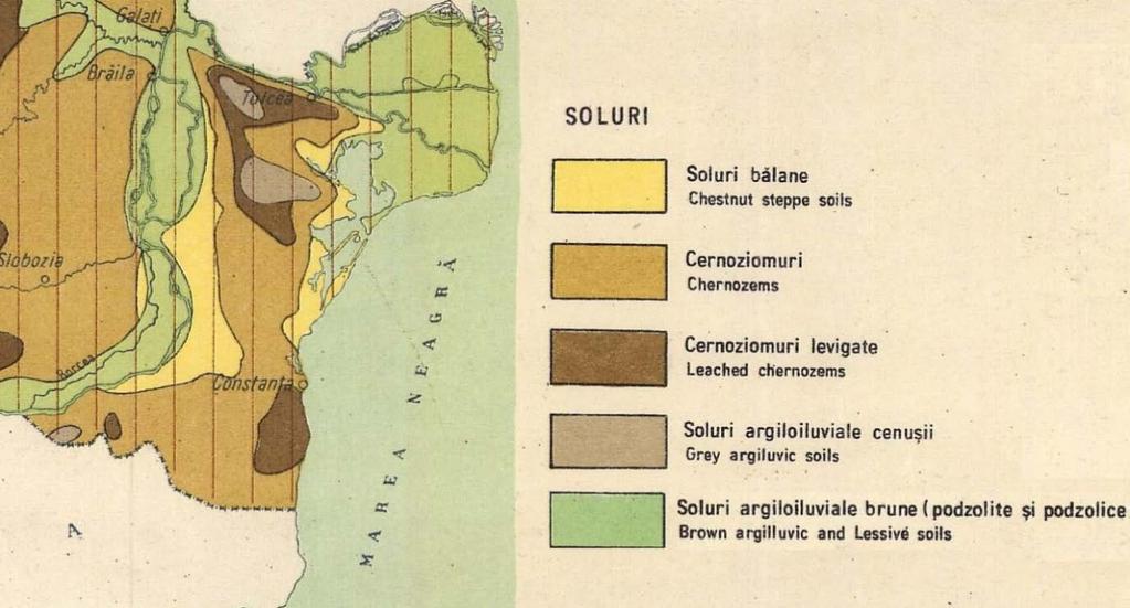 Figura 5 Harta solurilor Dobrogea Datorită condițiilor variate, învelișul de soluri din județul Constanța este împărțit în 5 clase de calitate, cărora le corespund 12 tipuri de sol: litosol, regosol,