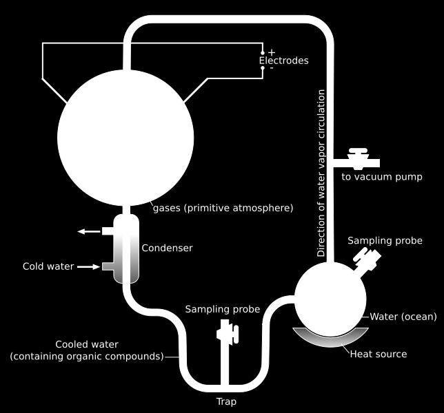 Miller-Urey katse (1953) Elektri (välk) toimel tekkisid metanaal ja vesiniktsüaniidhape, mis omavahel reageerides moodustasid lihtsamaid aminohappeid CO 2 CO + [O] (atomaarne