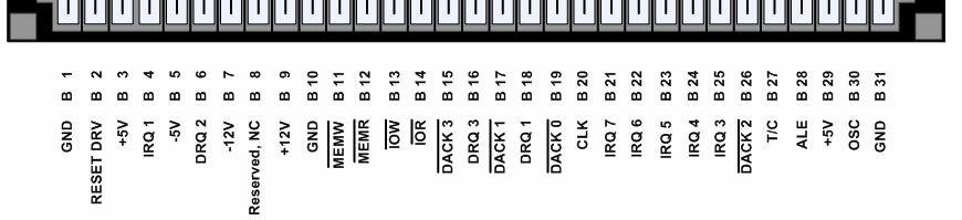 IBM PCren jatorrizko busa (Intel 8088