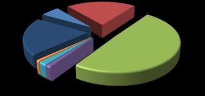 PLANUL DE ACȚIUNE PENTRU ENERGIE DURABILĂ Transport privat+comert 20% Cladiri publice 6% CONSUM FINAL DE ENERGIE / SECTOR -2014 Cladiri tertiare 21% Parc auto municipal 1% Transport public 2%