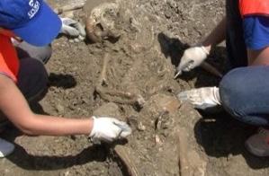 4 Zbulohet varri antik në Apolloni, ndërpriten punimet për Bypass-in e Fierit. Një varr i lashtë me 14 skeletesh njerëzisht është zbuluar në afërsi të parkut arkeologjik të Apollonisë.
