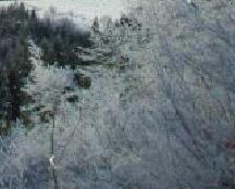 postaje ŽiËnice Vogel.