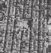 8Alfonso A Ría de Ferrol non só perde persoas e traballo; tamén desapareceron 2000 especies mariñas dende 1974.