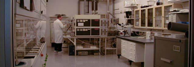 Wafer-Scale