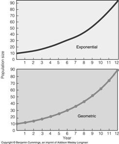 3.2 RAST POPULACIJE 1.