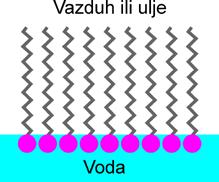 25 voda u kontaktu sa nekom nepolarnom organskom tečnošću (obično se koristi opšti naziv ulje), nepolarni lanci amfifilnog molekula, koji su zapravo njegovi lipofilni delovi, biće u kontaktu sa uljem.