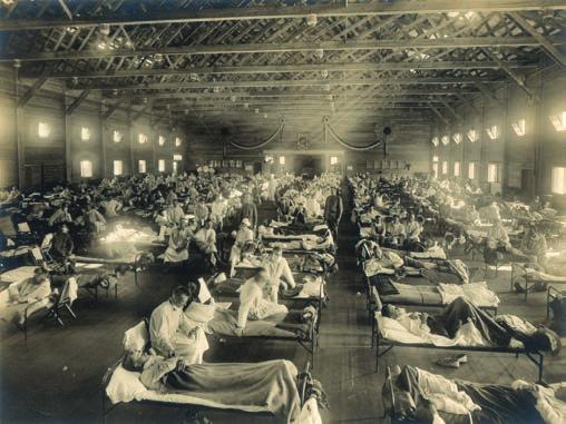 18. veku dve, a u 19. veku opisano je, čak, 6. epidemija. U 20. veku desile su se tri pandemije gripa: 1918. godine, tzv. Španska groznica, izazvana virusom A(H1N1); 1957. godine tzv.