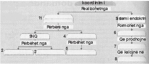 Shkencat natyrore kafshë, insulina shërben si një çelës për hapjen e tyre. Insulina është një proteinë që prodhohet nga tërmishëza (pankreasi), e cila më pas kalon në gjak.