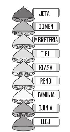 Udhëzues kurrikular Ëoese 1990 pema e jetës konsiston në tre domenet e Archaea; Bakteriet dhe