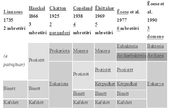 Diagrami i paraqitjes së taksoneve reflekton diferencat themelore të gjenomës.