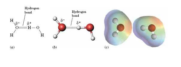 קשרי מימן קשר מימני הוא קשר בין מולקולות. זהו קשר דיפול דיפול חזק במיוחד וגם מכוון במרחב. המימן "מתמקם" מעל אחד מזוגות האלקטרונים הלא קושרים של החמצן.