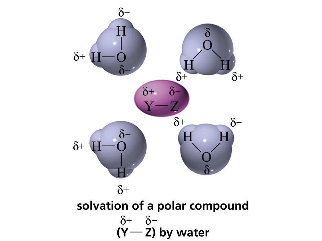 מסיסות "זהה מתמוסס בזהה". תרכובות פולאריות מתמוססות בממסים פולריים ולהפך. למשל כדי שחומר יומס במים עליו להיות פולארי, כך שהחלק החיובי הטעון במים עוטף את החלק הטעון שלילית במולקולה ולהפך.