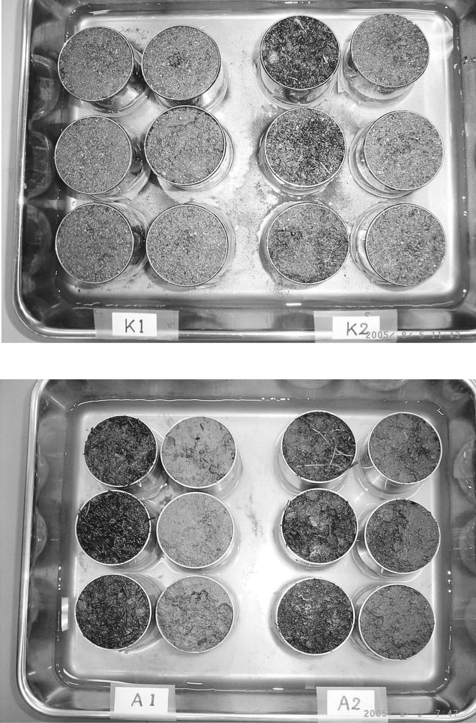 154 1.,,*+,..+. +331 ;,,*+*. -. +** cm / cm / cm +* cm +* - 0 / cm / cm +* cm +* Fig. +* The soil samples collected from four observation spots.