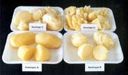 Kartupeļi Atbilstošas kartupeļu šķirnes katram izmantošanas veidam Pārtikai Kartupeļu gatavošanas tipi A B C D Stingra, vaskaina konsistence, nejūk Salātiem, zupām Nedaudz miltaini, maiga