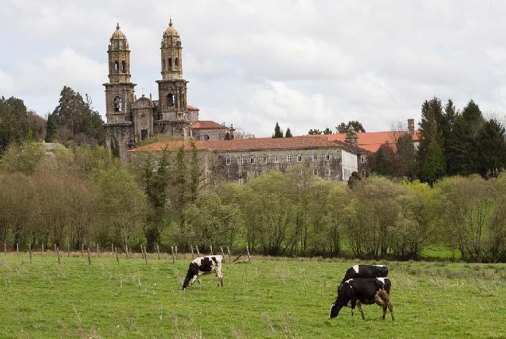 O PROGRAMA NACIONAL DE ERRADICACIÓN DA TUBERCULOSE BOVINA EN GALICIA.