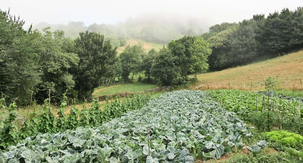 Situación actual loita contra TB en Galicia.