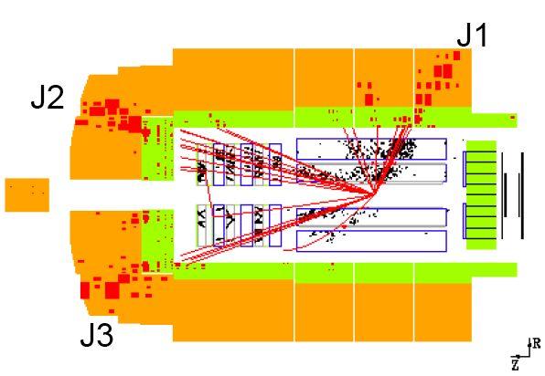 calorimeter track detector transverse view: Because muons do