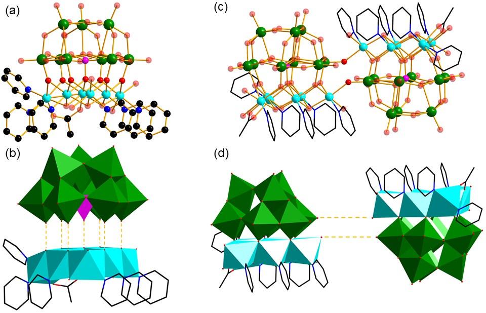 Fig. S6 The ball-and-stick (a) and polyhedral (b) of the connection between [PW 9 O 34 ] 10- anion and {Ni 6 } cluster containing ligands.