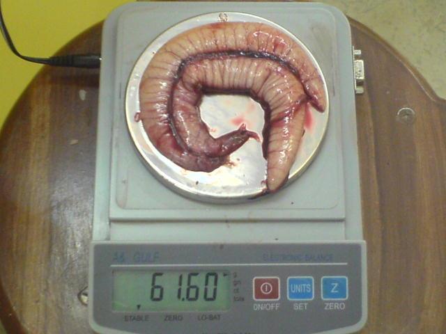 شماره : 12 اندازه گيري