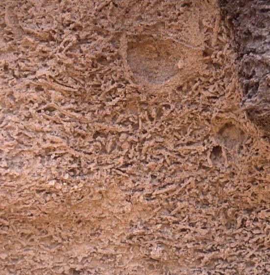 Povećanju biodegradabilnosti organskih polutanata doprinosi povećana mikrobijalna aktivnost (posledica veće koncentracije rastvorenog